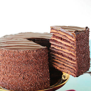 Epic 12 Layer Chocolate Cake | Cleobuttera
